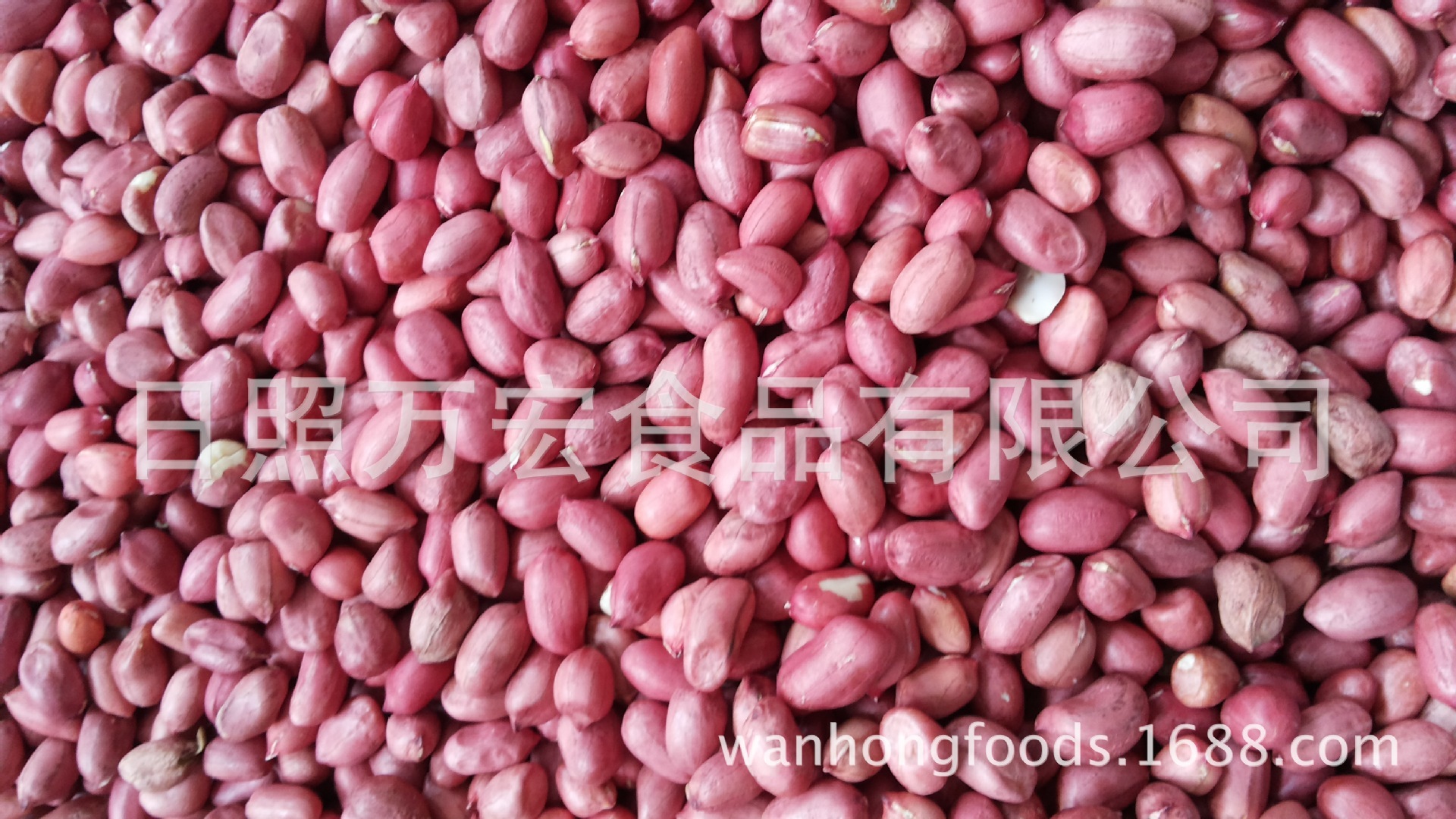 Export peanut rice, four red peanuts.