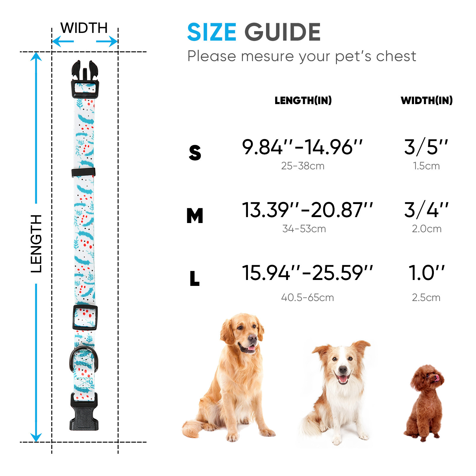 "Christmas pets in blue feathers and large dog collars."