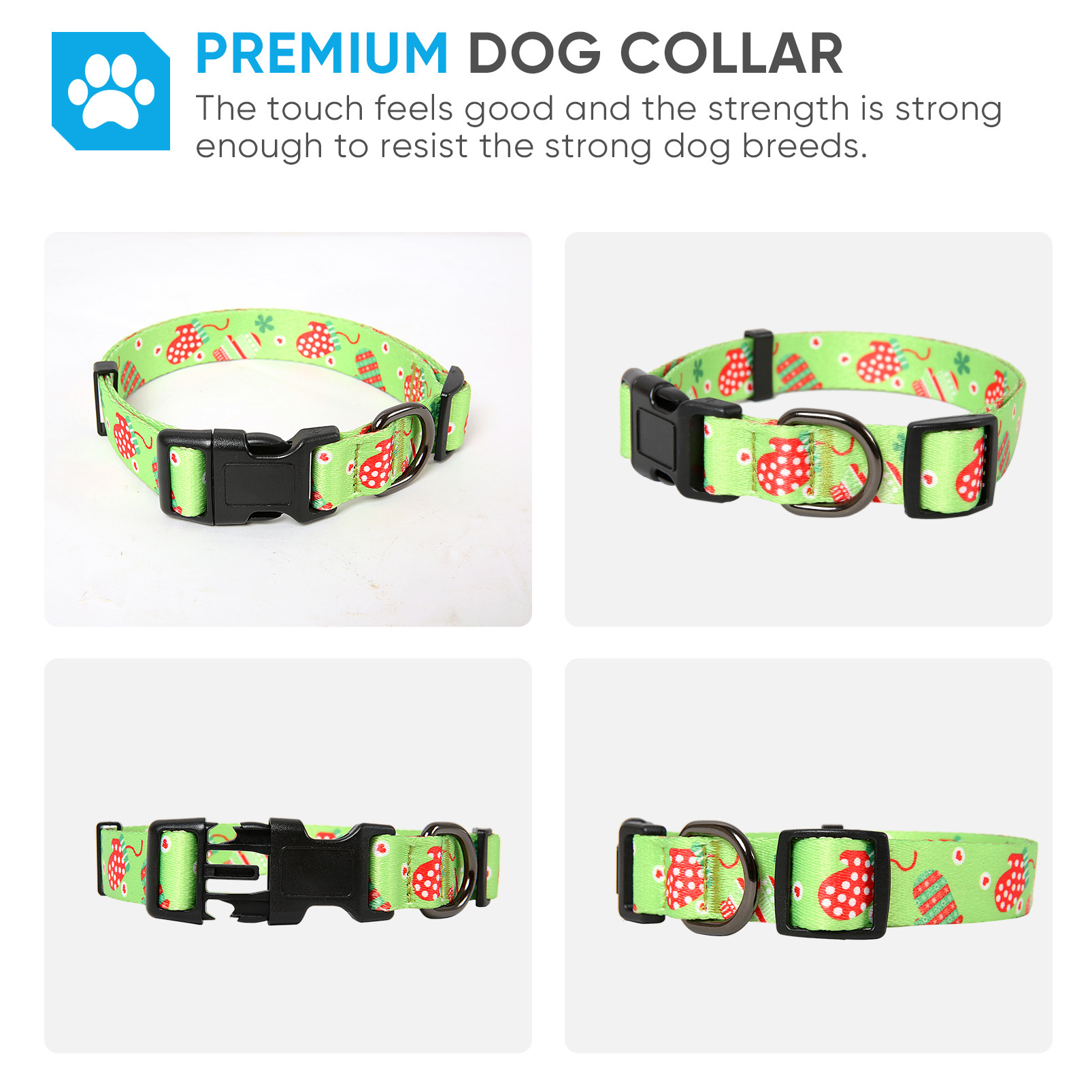 "Christmas pets in blue feathers and large dog collars."