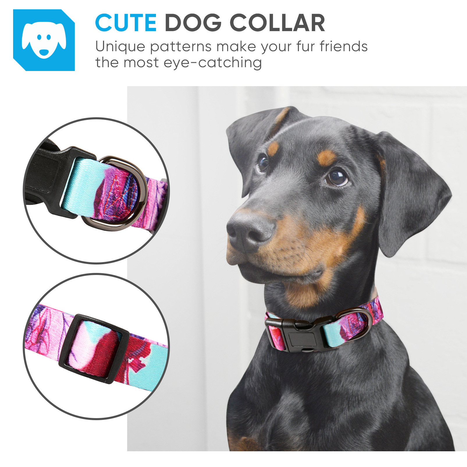 "Christmas pets in blue feathers and large dog collars."