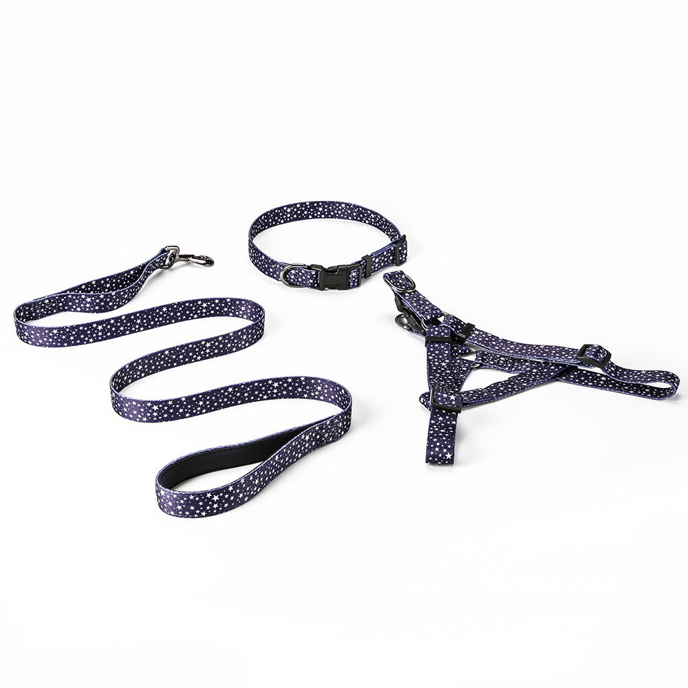 The Amazon pet set a tow rope, and the dog takes out three pairs of collars, walking the dog around the neck and cleaning his chest.