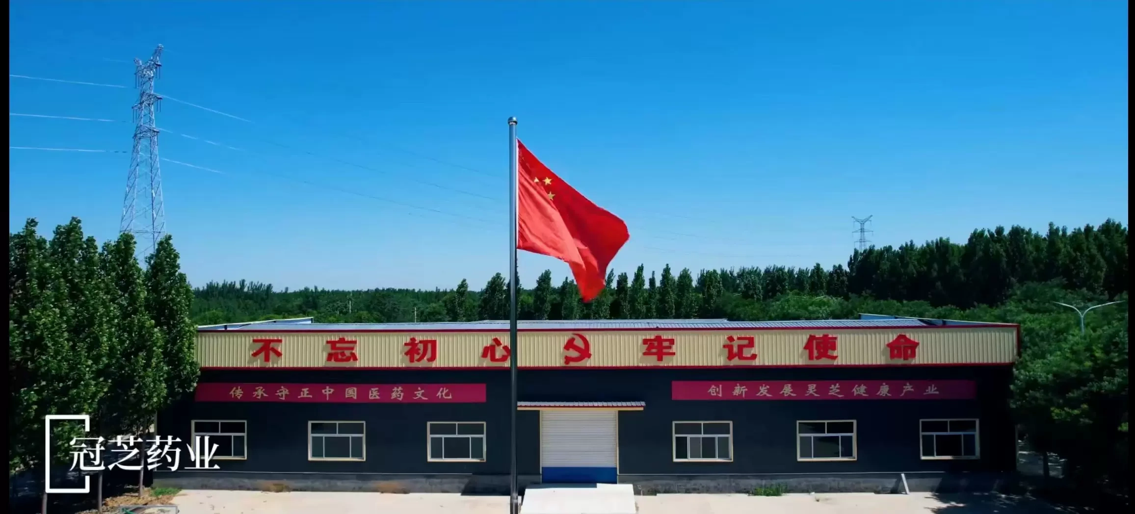 Công ty TNHH Dược phẩm Shandong Chong Chi