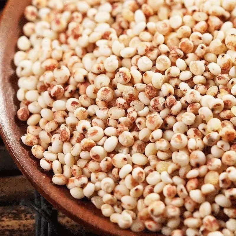 Sorghum.