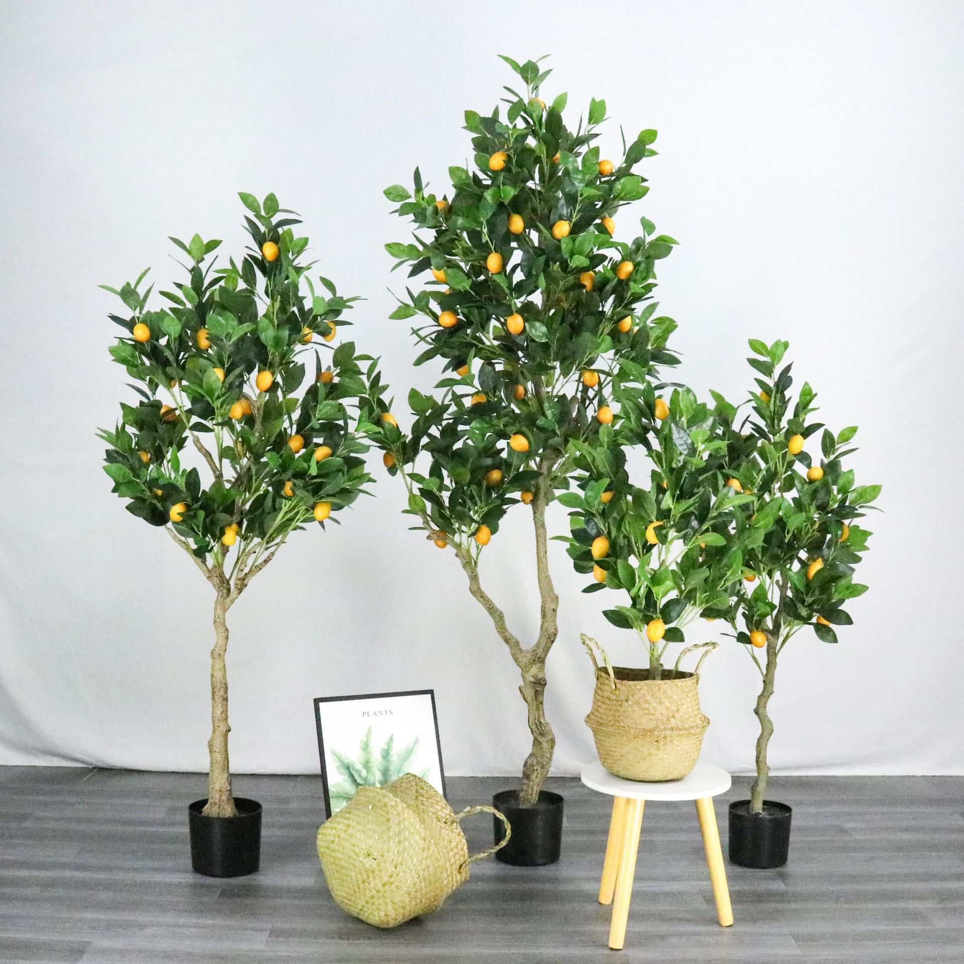 Nó giống như một thiết lập cây chanh giả.