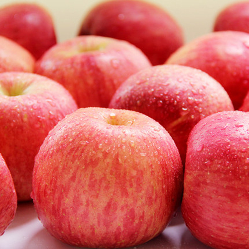 The Red Fuji Apple Fruit Box is a box full of nine pounds a year.