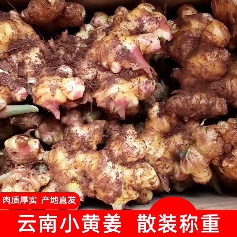 2024 Yunnan Agriral Ginger, Ginger Moon-Ginger, 50g-50g New Ginger.