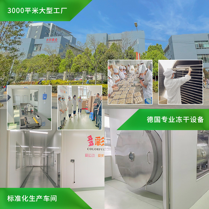 nấm đồng bằng FD không tươi phát triển nấm gốc tự nhiên khô
