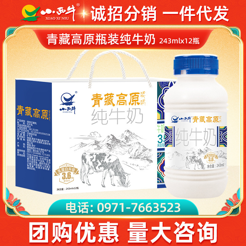 光明小西牛青藏高原純牛奶3.6g蛋白營養早餐奶243ml*12瓶