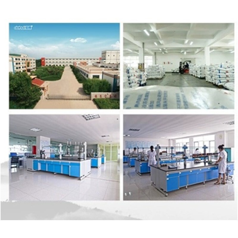 Dewey DeHui Quality Upgrading Powder Resilient Security, Food-grade Addition Weighting Plant Wholesale