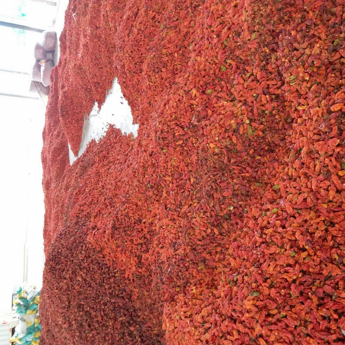ớt của quỷ dữ, 10kg, và ớt nóng của quỷ dữ, ớt đỏ, ớt đỏ, gia vị cay Ấn Độ.