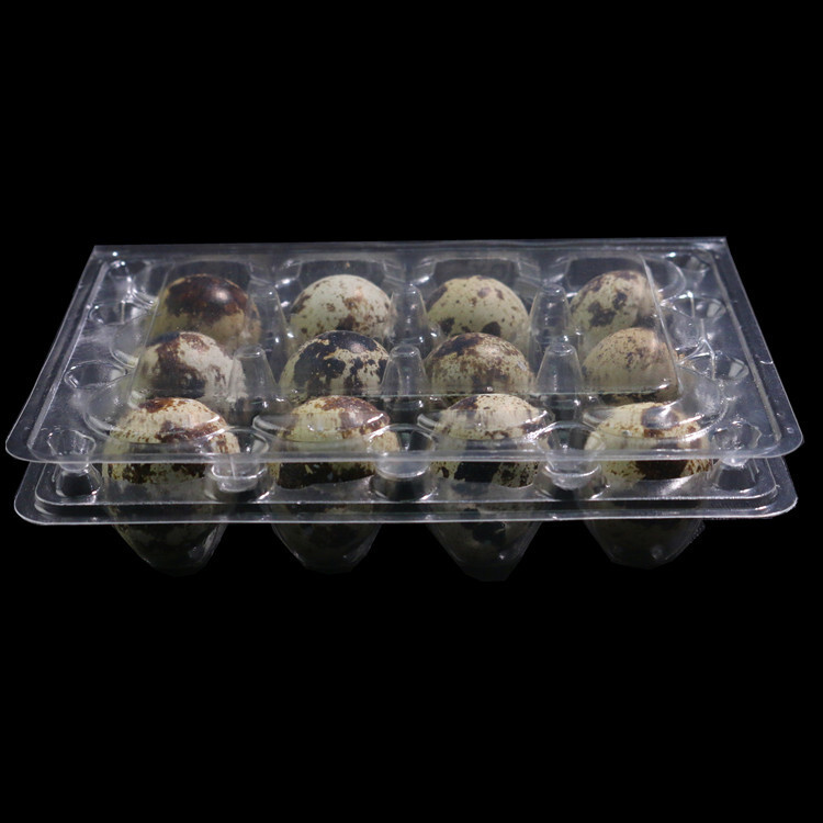 2 개의 샘플은 PET quail 계란 플라스틱에 의해 무료로 발견되었다 플라스틱 상자 제조 업체