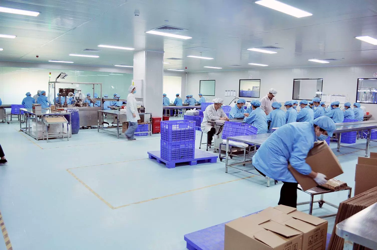 Dong Yeung Yi Biotech, 광저우