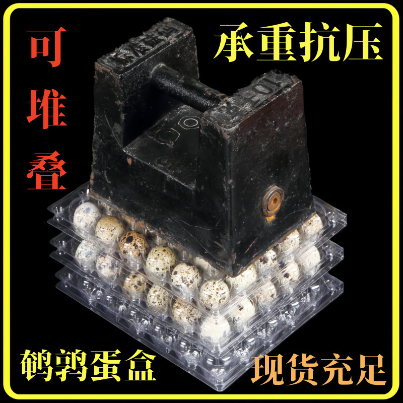 bọc trứng Quetzal, nhựa PT nhựa dẻo, 30 viên từ trứng đến xúc xích.