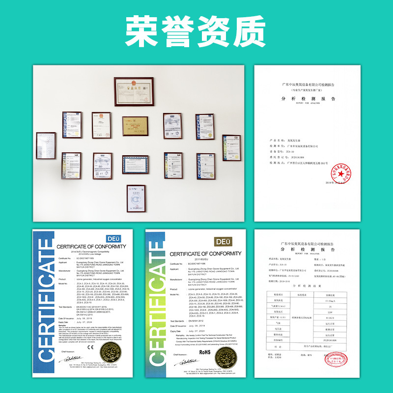 ZCO-100氧氣源100克臭氧消毒機印染廢水脫色降cod臭氧發生器廠家