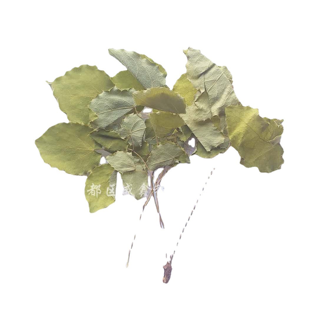 Một cây dương giá 20 gram được chọn bởi tinh trùng dày đặc cho những kẻ lượm lặt, hoang dã, nhỏ nhặt, lượm lặt, lượm lặt, lượm lặt, lượm lượm lặt, lượm lặt.