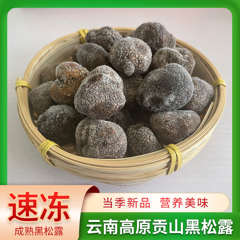 Wholesale of the fungus black truffles in the wild