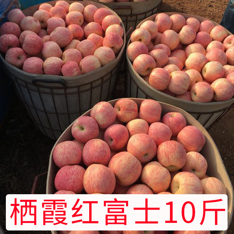 The Red Fuji Apple Fruit Box is a box full of nine pounds a year.