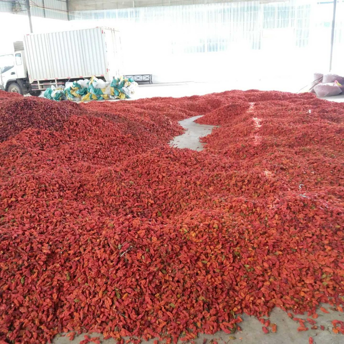 ớt của quỷ dữ, 10kg, và ớt nóng của quỷ dữ, ớt đỏ, ớt đỏ, gia vị cay Ấn Độ.