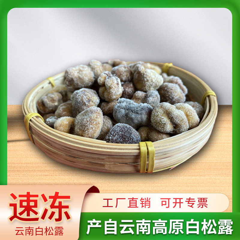 冰鲜白松露速冻松露菌菇云南特产非黑松露块菌猪拱菌白松露非面膜