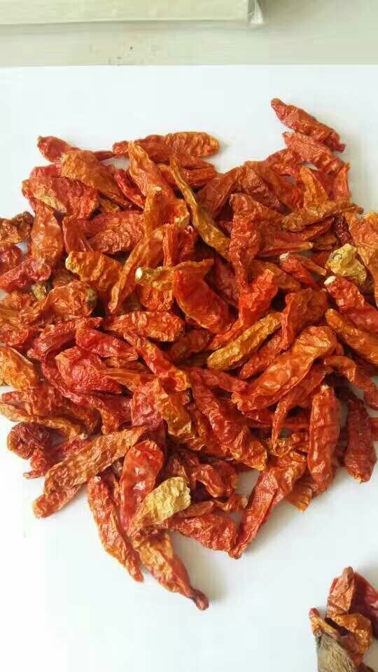 Yunnan's hot, yellow, hot, hot, hot, hot, hot, hot peppers are exported to deliver the piprika from the site year round.