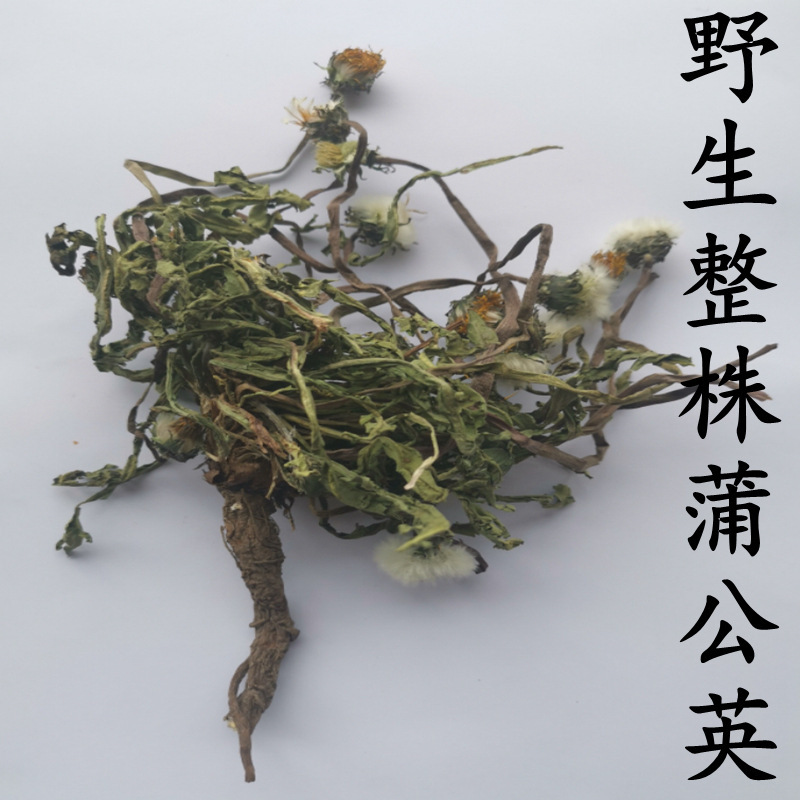 Bok-young, phát triển hoang dã ở dãy núi Tầnpa, sản xuất một sản phẩm đơn, mẹ chồng, quản lý sản phẩm, phân phối nó.