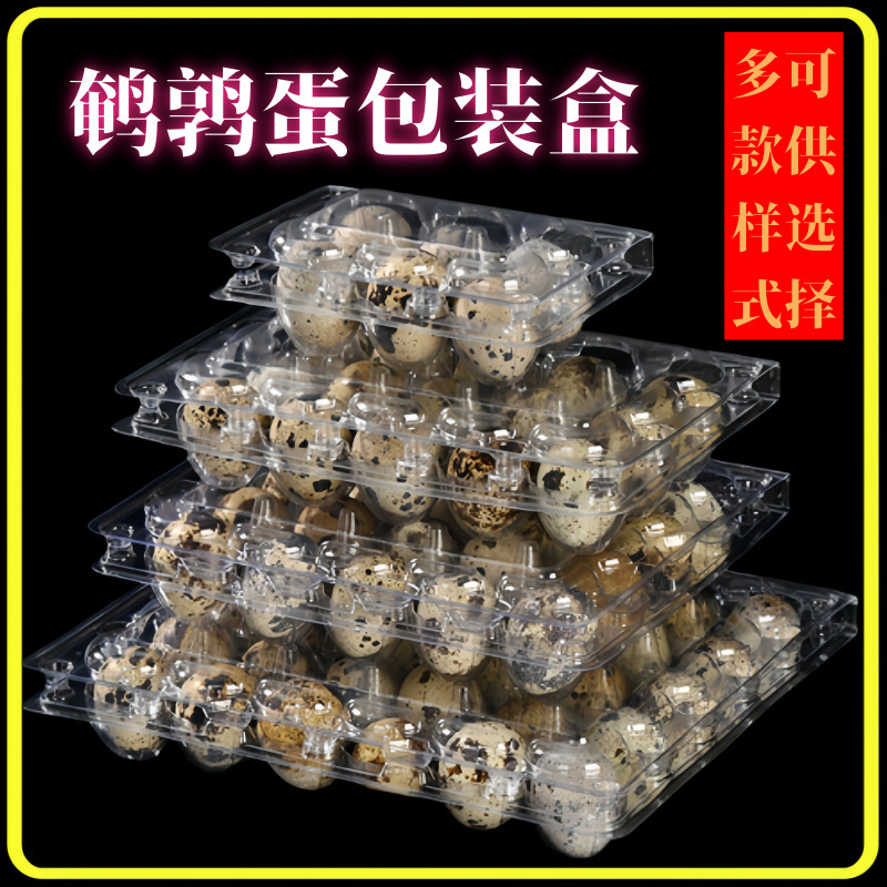 bọc trứng Quetzal, nhựa PT nhựa dẻo, 30 viên từ trứng đến xúc xích.