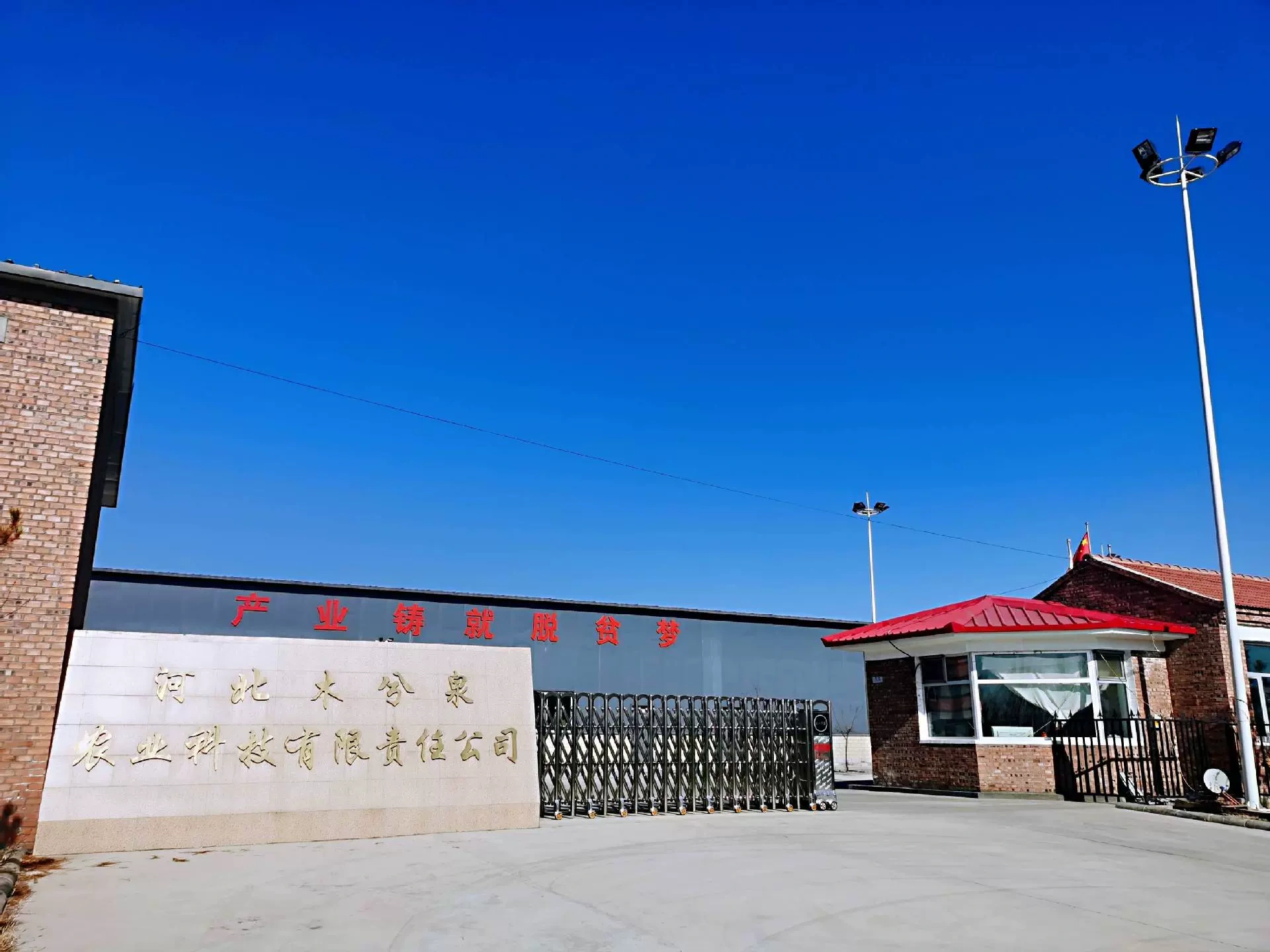 Hebei Wood Springs Agricultural Science and Technology Limited