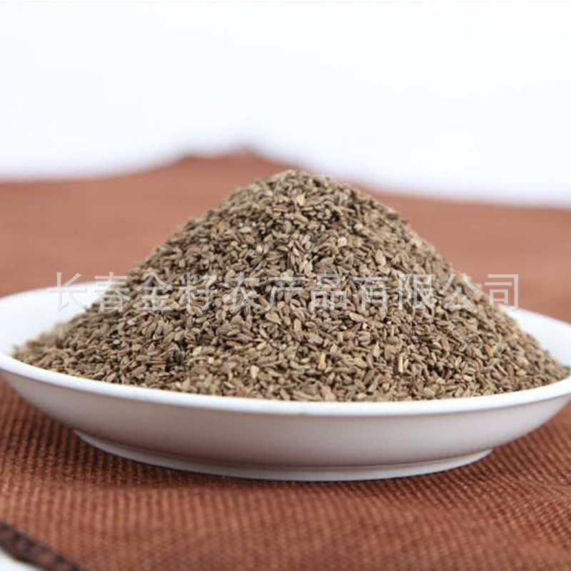 Hạt cà rốt. Hạt cà rốt.