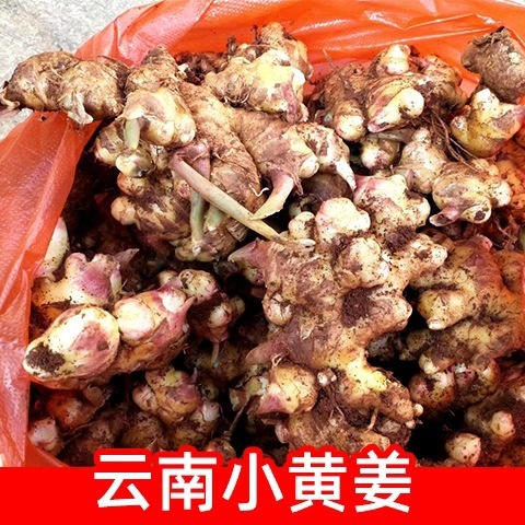 2024 Yunnan Agriral Ginger, Ginger Moon-Ginger, 50g-50g New Ginger.