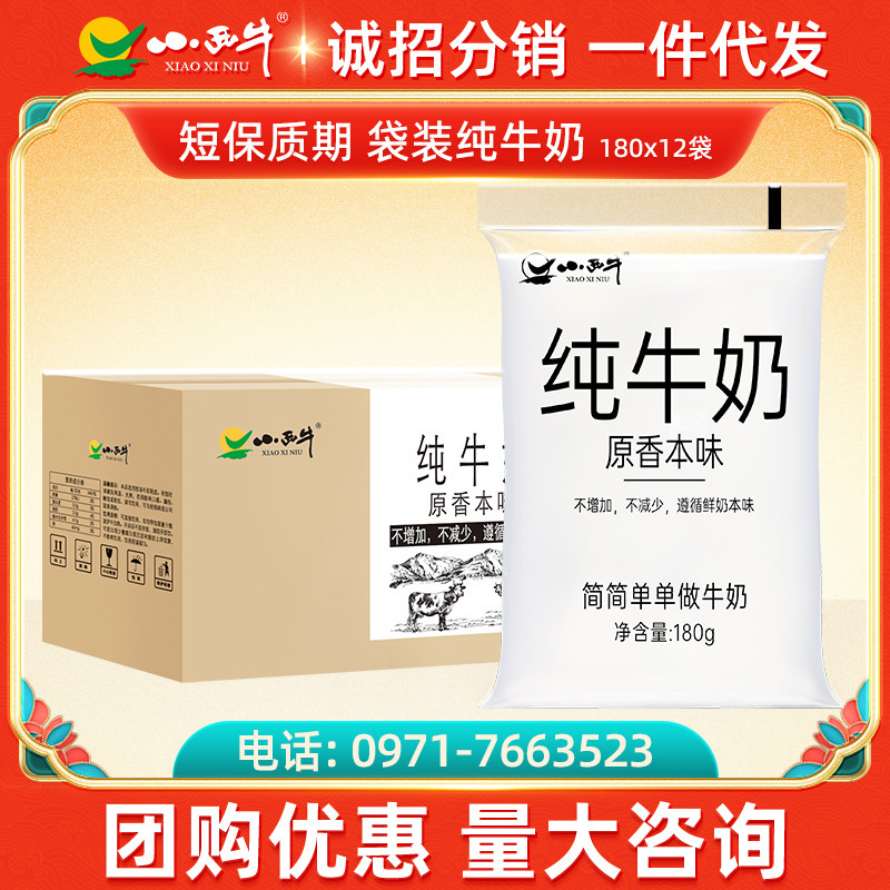 光明小西牛 青海原生純牛奶透明枕網紅奶新鮮牛奶高原奶180g*12袋