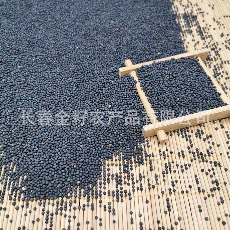 Hạt dầu, hạt dầu, hạt dầu, thức ăn cho chim, thức ăn cho chim, dầu, dầu.