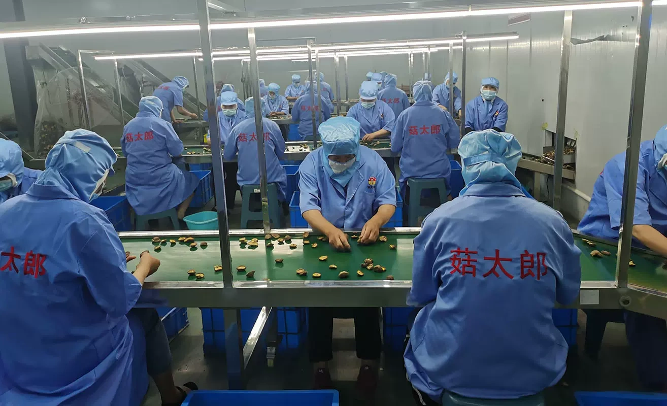 Henan Masutaro Biotech, Inc.