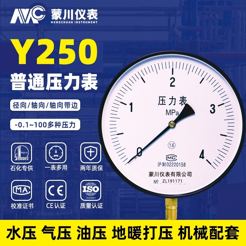 Y250 Common pressure table 0-1.6 MPa hydraulic pressure table vacuum and negative pressure table vapour boiler pressure table