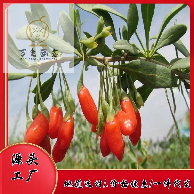 Những ngọn núi hoang dã là những vùng quê hương.