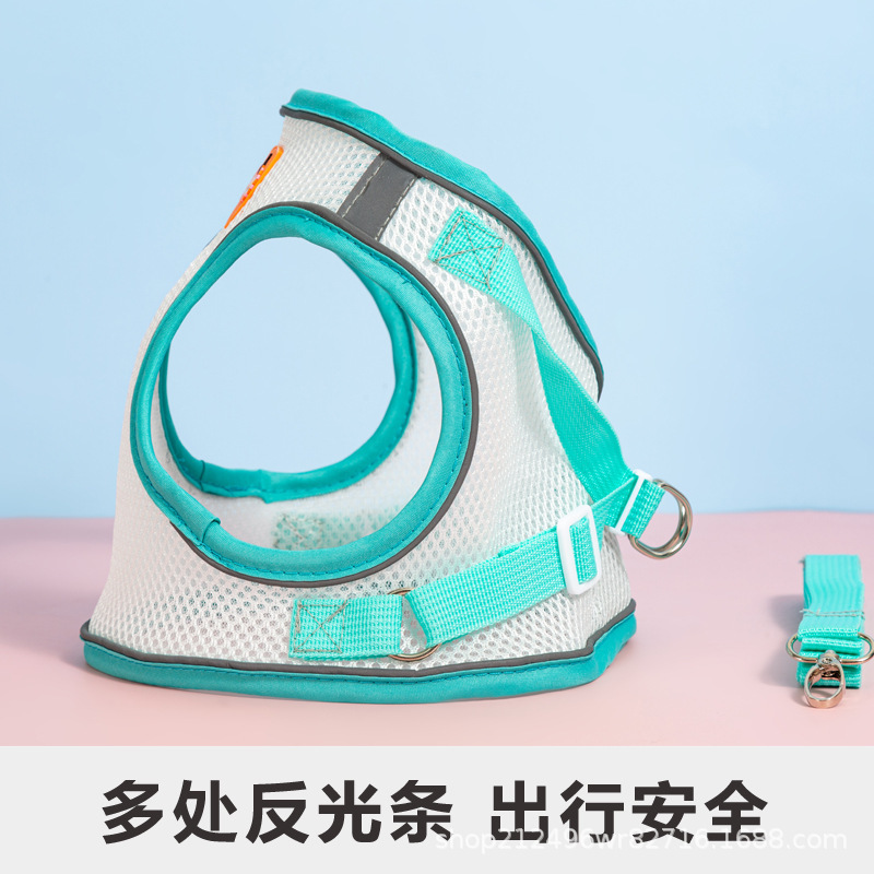 Một con chó mặc áo vest và một con chó Teddy với một con chó con trên ngực.