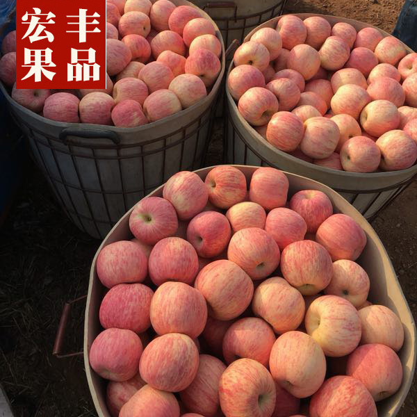 I've been shopping all year for the Chinese apples.