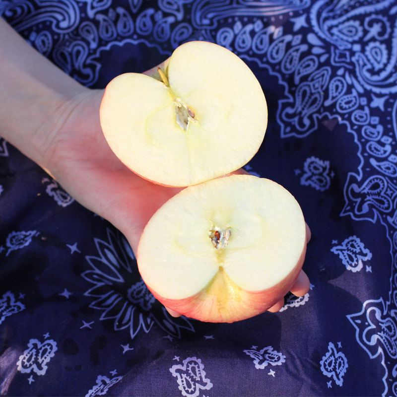 Quite the same swab bag as an agent of the super-cream apple concubine.