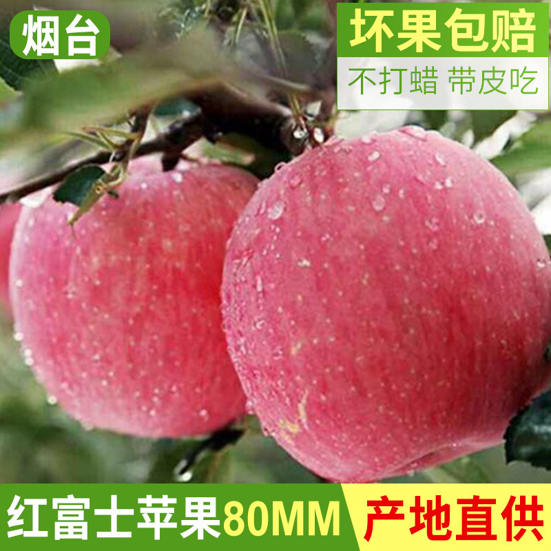 80mm net of fresh fruit buns of fresh origin.