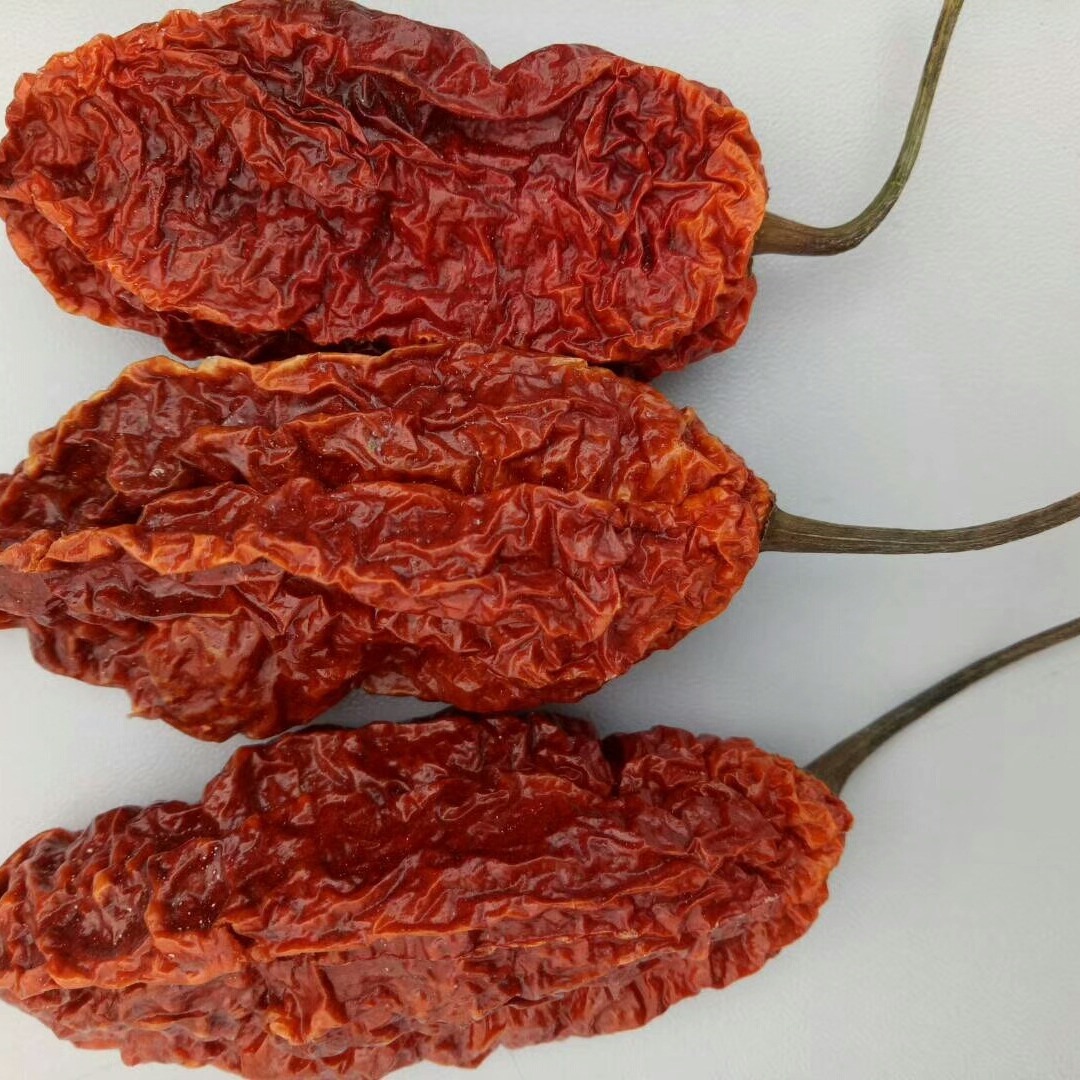 ớt của quỷ dữ, 10kg, và ớt nóng của quỷ dữ, ớt đỏ, ớt đỏ, gia vị cay Ấn Độ.