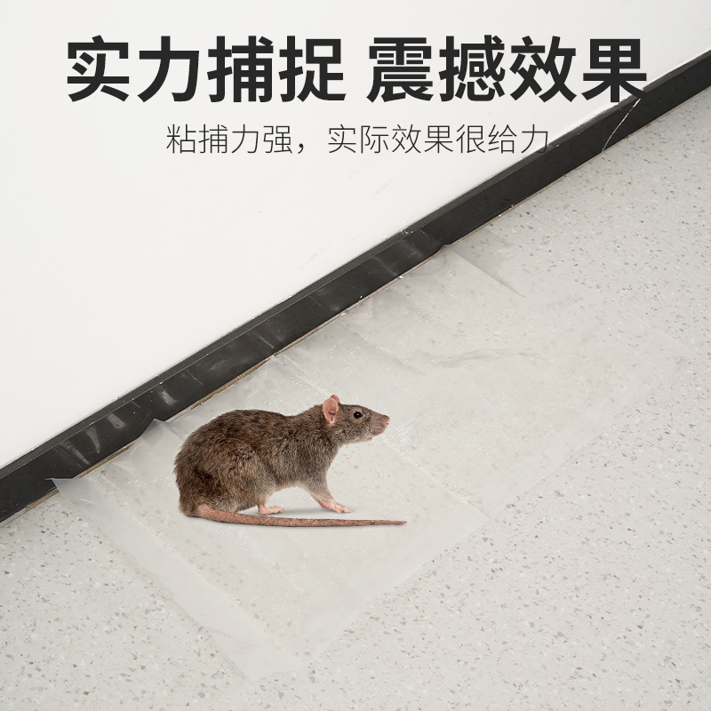 廠家現貨透明粘鼠毯老鼠貼隱形陷阱加厚學校倉庫跨境支持一件代發