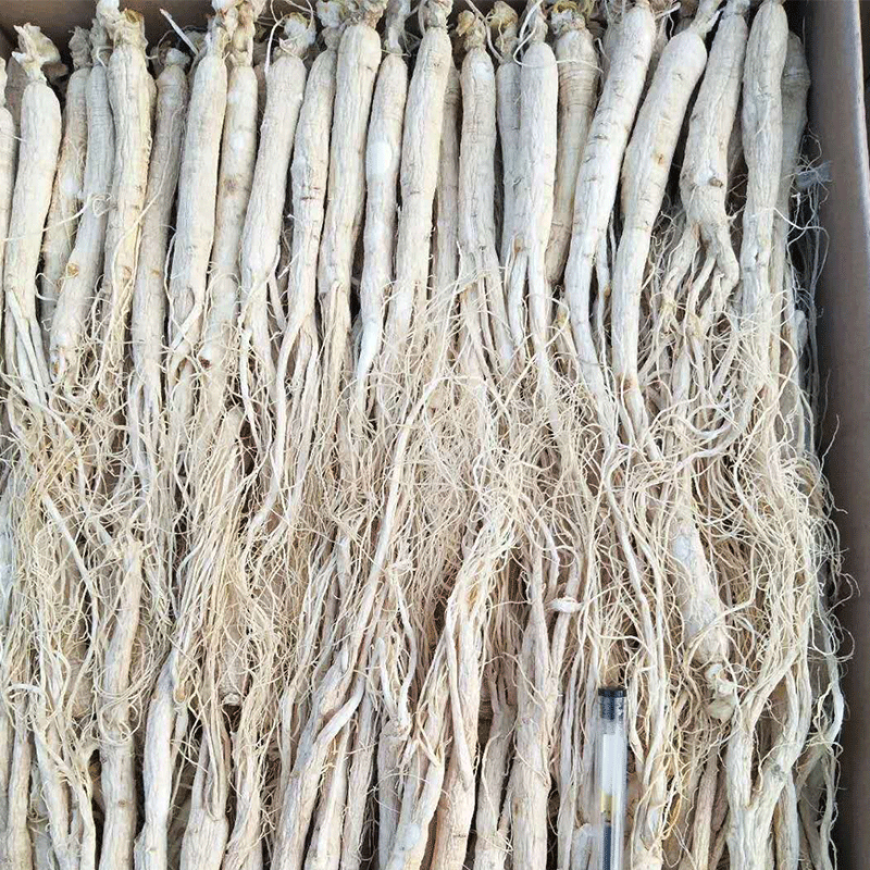 Một chút sâm-banh trắng, một ít sâm-banh trắng, một ít sâm-banh, một ít rượu gin, xà phòng trang điểm và khô.