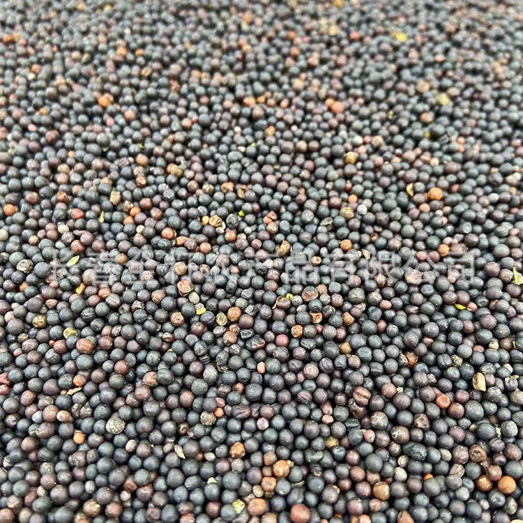 Hạt dầu, hạt dầu, hạt dầu, thức ăn cho chim, thức ăn cho chim, dầu, dầu.