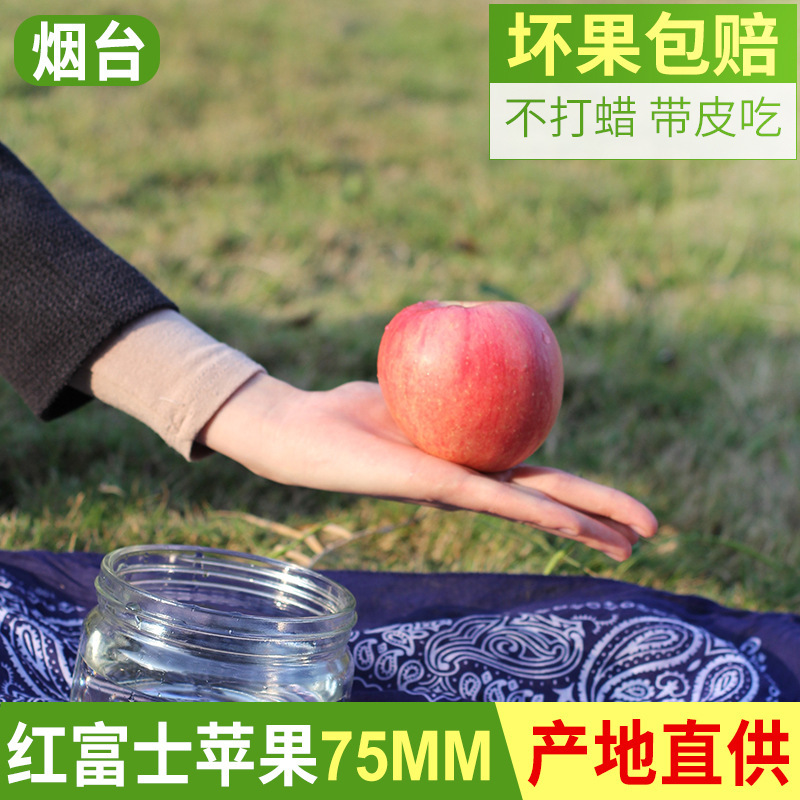 Quả mới đến từ một trang trại sản xuất trái cây mới đầy những quả táo ngọt.