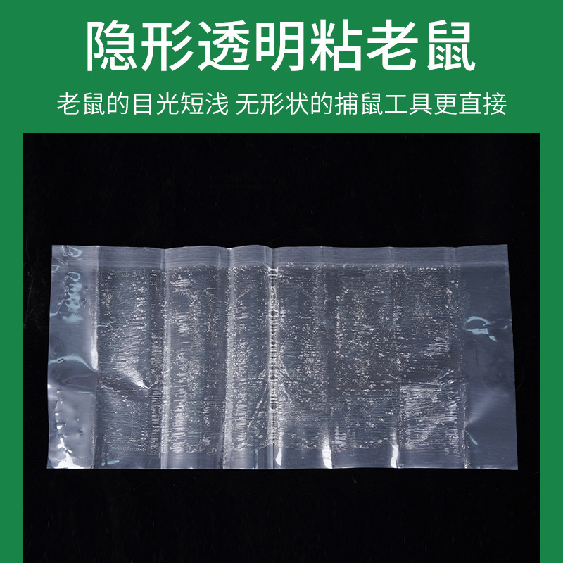 廠家現貨透明粘鼠毯老鼠貼隱形陷阱加厚學校倉庫跨境支持一件代發