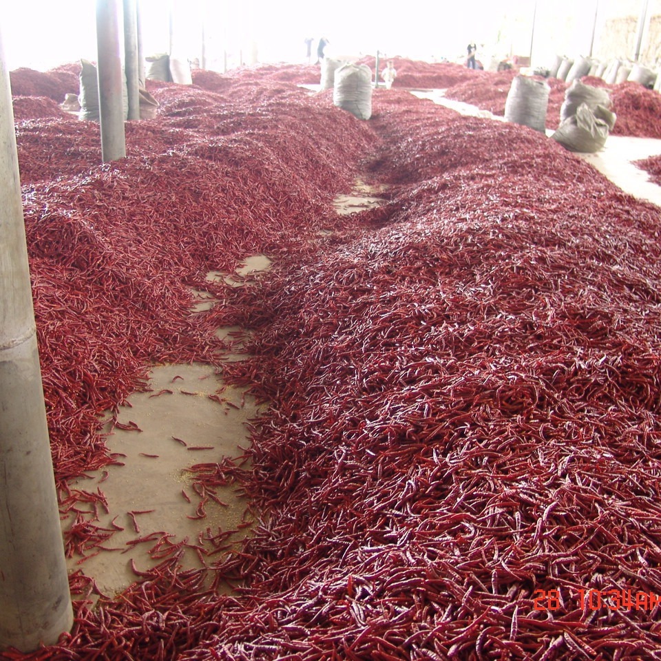 Yunnan little peppers, hot peppers, hot peppers, hot peppers.