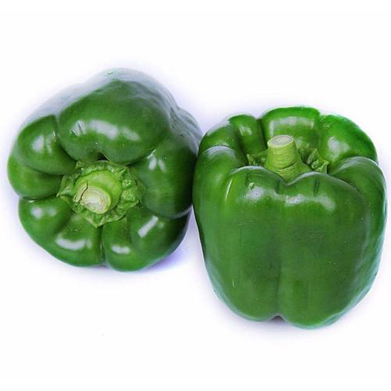 The factory's wholesale production site is a direct supply of fresh green peppers with a box full of round family vegetables to feed.