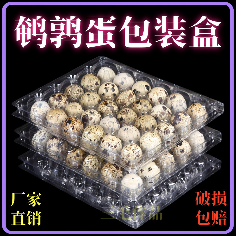 Parcel 달걀 팩 세트 12 capt-transparent quail 계란 tossed 플라스틱 상자 도매