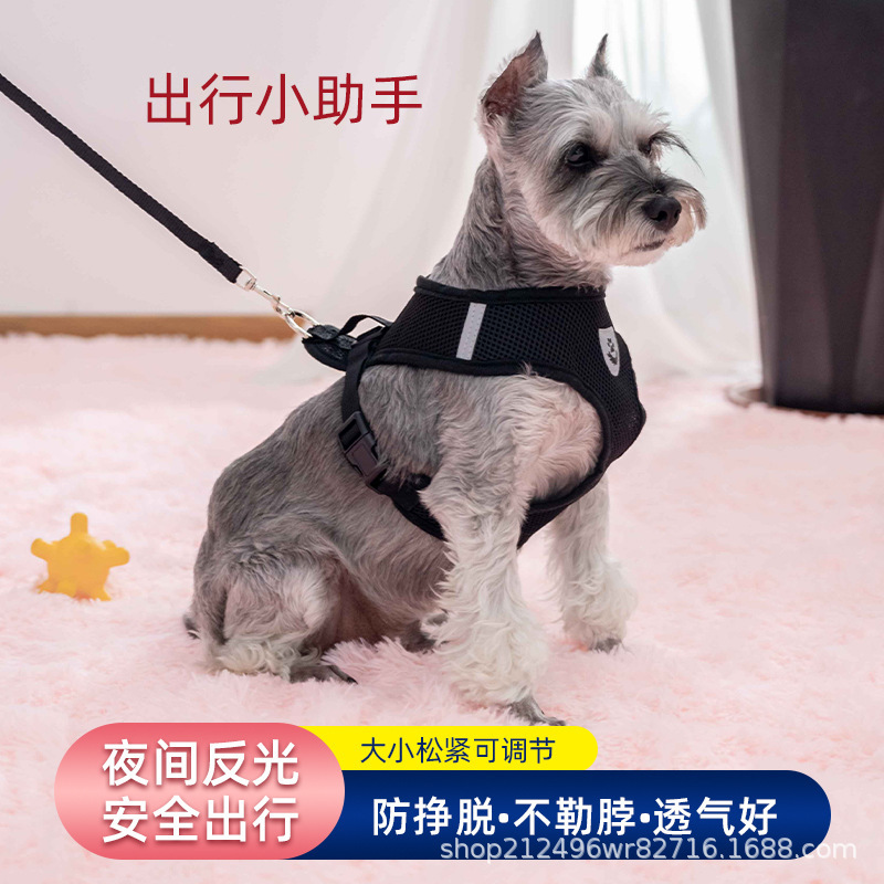 Chó mặc áo chống đạn của chó và cổ chó
