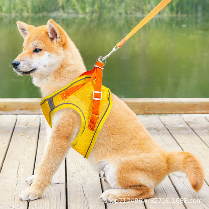 Một con chó mặc áo vest và một con chó Teddy với một con chó con trên ngực.