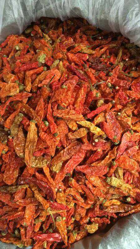 Yunnan's hot, yellow, hot, hot, hot, hot, hot, hot peppers are exported to deliver the piprika from the site year round.